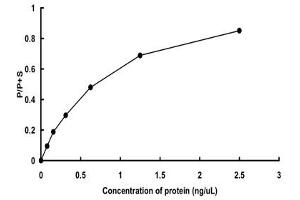 NUAK2 Protein (AA 1-628) (GST tag)