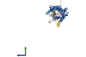 AlphaFold protein structure predicition of Human Recombinant GPR39 Protein, UniprotID O43194 (GPR39 Protein (AA 1-453) (His tag))