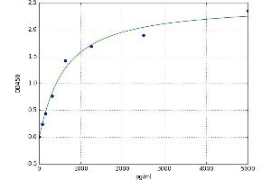CCCTC-Binding Factor (Zinc Finger Protein) (CTCF) ELISA Kit