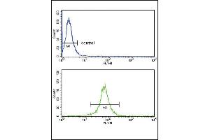 Flow cytometry analysis of MDA-MB231 cells (bottom histogram) compared to a negative control cell (top histogram). (KIR2DL4/CD158d antibody  (C-Term))
