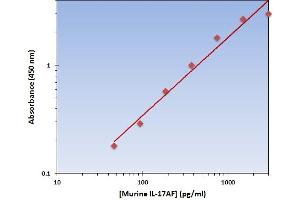 This is an example of what a typical standard curve will look like. (IL-17A/F ELISA Kit)