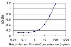 Detection limit for recombinant GST tagged PTGES3 is 0. (PTGES3 antibody  (AA 1-160))