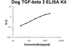 Dog TGF-beta 3 PicoKine ELISA Kit standard curve