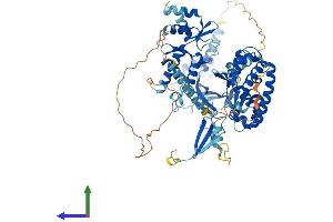 AlphaFold protein structure predicition of Human Recombinant POLR3E Protein, UniprotID Q9NVU0 (POLR3E Protein (AA 1-708) (His tag))