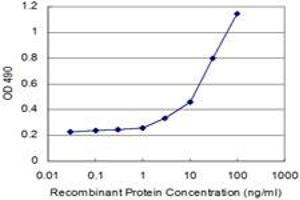 Detection limit for recombinant GST tagged RHOA is 3 ng/ml as a capture antibody. (RHOA antibody  (AA 1-193))