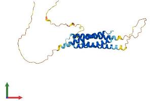 AlphaFold protein structure predicition of Human Recombinant RGS7BP Protein, UniprotID Q6MZT1