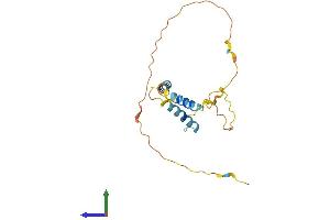 AlphaFold protein structure predicition of Mouse Recombinant Bcl2l11 Protein, UniprotID O54918 (BIM Protein (AA 1-196) (His tag))
