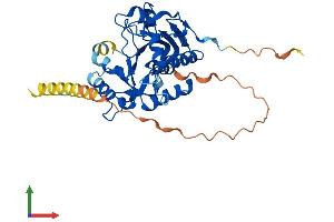 AlphaFold protein structure predicition of Human Recombinant ST6GALNAC5 Protein, UniprotID Q9BVH7