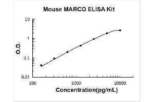 Macrophage Receptor with Collagenous Structure (MARCO) ELISA Kit