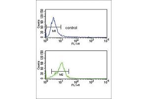 Flow Cytometry (FACS) image for anti-Corticotropin Releasing Hormone Receptor 2 (CRHR2) antibody (ABIN3002798) (CRHR2 antibody)
