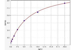 Typical standard curve (LRP11 ELISA Kit)