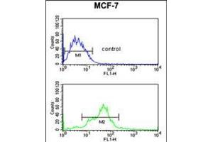 Flow cytometric analysis of MCF-7 cells (bottom histogram) compared to a negative control cell (top histogram). (PA2G4 antibody  (AA 228-255))