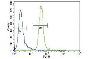 MUSK antibody flow cytometric analysis of CEM cells (right histogram) compared to a negative control cell (left histogram). (MUSK antibody  (AA 35-65))