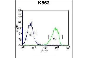 SPINK8 Antibody (C-term) (ABIN656529 and ABIN2845794) flow cytometric analysis of K562 cells (right histogram) compared to a negative control cell (left histogram). (SPINK8 antibody  (C-Term))