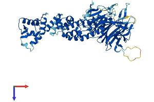 AlphaFold protein structure predicition of Human Recombinant KLHL15 Protein, UniprotID Q96M94