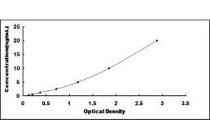 Typical standard curve (ERLIN1 ELISA Kit)