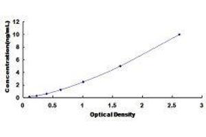 Proenkephalin (PENK) ELISA Kit