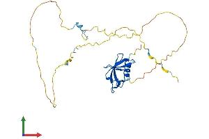 Protein Structure (PS) image for UBX Domain Protein 10 (UBXN10) (AA 1-280) protein (His tag) (ABIN7544865)