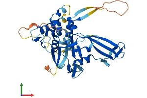Protein Structure (PS) image for Ubiquitin Specific Peptidase 50 (USP50) (AA 1-339) protein (His tag) (ABIN7545018)