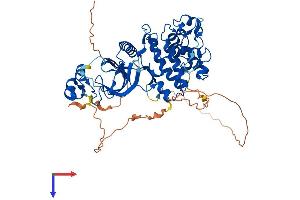 AlphaFold protein structure predicition of Human Recombinant DYRK4 Protein, UniprotID Q9NR20 (DYRK4 Protein (AA 1-520) (His tag))