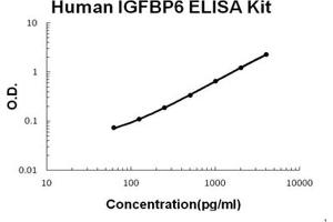 Human IGFBP6 PicoKine ELISA Kit standard curve (IGFBP6 ELISA Kit)