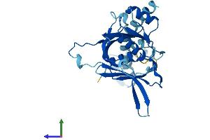 Protein Structure (PS) image for IMP4, U3 Small Nucleolar Ribonucleoprotein (IMP4) (AA 1-291) protein (His tag) (ABIN7559941)