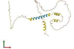 AlphaFold protein structure predicition of Human Recombinant DNM1P46 Protein, UniprotID Q6ZS02 (DNM1P46 Protein (AA 1-220) (His tag))