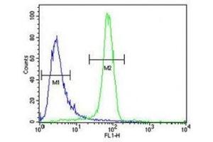 Anti-EGFR antibody flow cytometric analysis of K562 cells (right histogram) compared to a negative control cell (left histogram). (EGFR antibody  (AA 1004-1033))