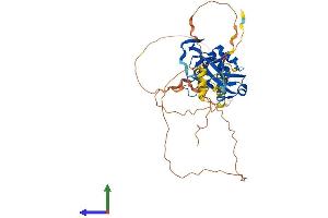 AlphaFold protein structure predicition of Mouse Recombinant Tbx6 Protein, UniprotID P70327 (T-Box 6 Protein (TBX6) (AA 1-436) (His tag))