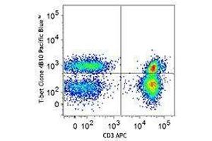 Flow Cytometry (FACS) image for anti-T-Bet antibody (Pacific Blue) (ABIN2662108) (T-Bet antibody  (Pacific Blue))
