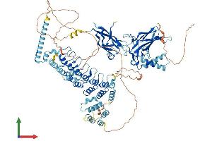 Protein Structure (PS) image for Nuclear Factor of kappa Light Polypeptide Gene Enhancer in B-Cells 2 (NFKB2) (AA 1-899) protein (His tag) (ABIN7565202)