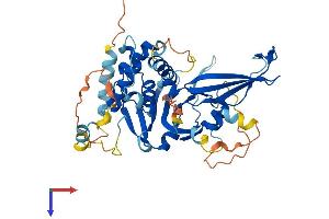 AlphaFold protein structure predicition of Mouse Recombinant Usp27x Protein, UniprotID Q8CEG8