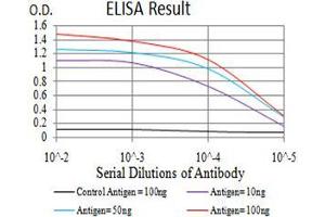 Fig. (MECP2 antibody  (AA 7-148))