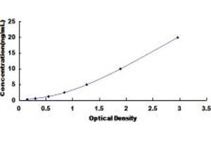 Typical standard curve (ARSF ELISA Kit)