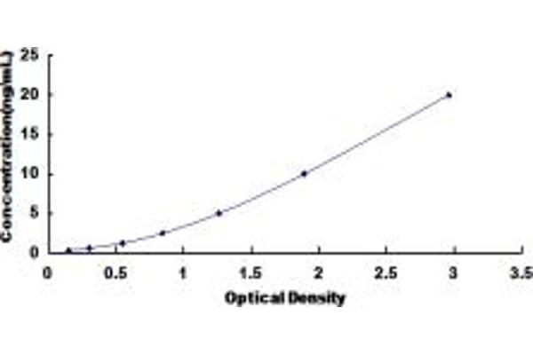 ARSF ELISA Kit