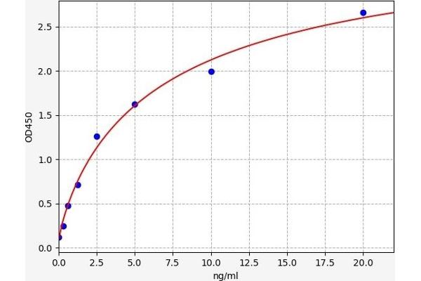 ADAD1 ELISA Kit