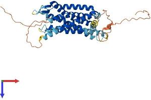 Somatostatin Receptor 4 (SSTR4) (AA 1-388) protein (His tag)