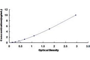 FNBP1 ELISA Kit