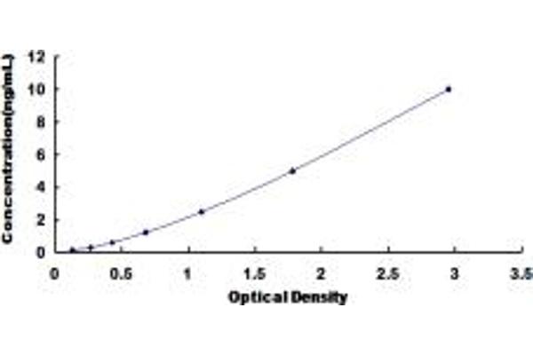 FNBP1 ELISA Kit