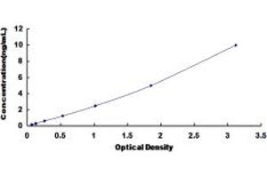 Typical standard curve (FLT1 ELISA Kit)