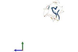 AlphaFold protein structure predicition of Mouse Recombinant Tmf1 Protein, UniprotID B9EKI3 (TMF1 Protein (AA 1-1091) (His tag))