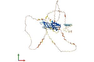 AlphaFold protein structure predicition of Mouse Recombinant Rtp3 Protein, UniprotID Q5QGU6