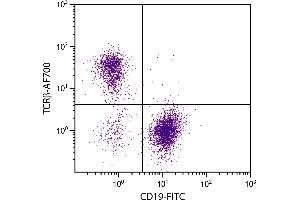 C57BL/6 mouse splenocytes were stained with Hamster Anti-Mouse TCRβ-AF700. (TCRb antibody)