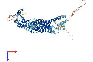MCOLN1 Protein (AA 1-580) (His tag)