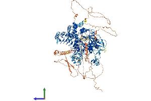 AlphaFold protein structure predicition of Human Recombinant KDM2A Protein, UniprotID Q9Y2K7 (KDM2A Protein (AA 1-1162) (His tag))