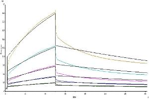 Surface Plasmon Resonance (SPR) image for Signal-Regulatory Protein alpha (SIRPA) (AA 31-370) protein (His tag) (ABIN7275652)