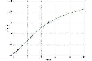 Hydroxysteroid (17-Beta) Dehydrogenase 10 (HSD17B10) ELISA Kit