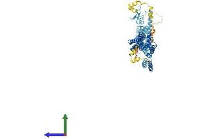 AlphaFold protein structure predicition of Human Recombinant DCST1 Protein, UniprotID Q5T197