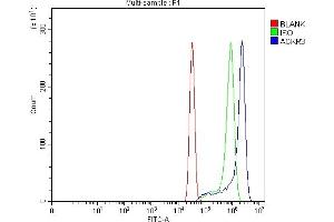 Flow Cytometry analysis of SiHa cells using anti-GPCR RDC1/CXCR-7/ACKR3 antibody (ABIN7602889).