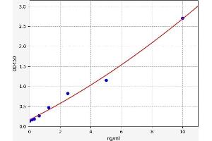 Typical standard curve (SCUBE3 ELISA Kit)